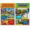 North Star Teacher Resources Biomes Bulletin Board Set NS3079 - alternate 3
